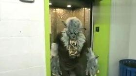 黑山老鬼吃瓜视频在线观看,揭秘娱乐圈幕后故事