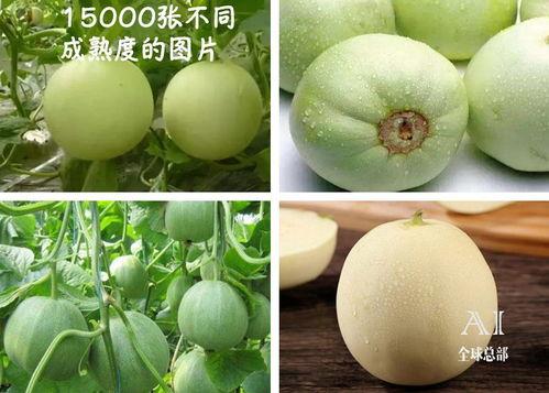 吃瓜网站最新吃瓜视频抖,抖视频曝光惊人内幕！