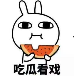 带你吃瓜第一集视频,揭秘幕后故事与精彩瞬间