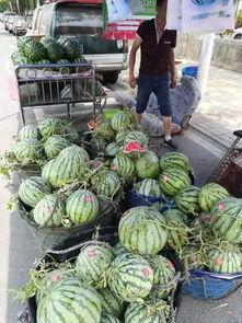 康定吃瓜事件视频最新,一场网络热议背后的真相揭秘