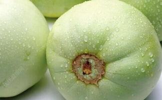 香瓜猫吃瓜视频完整版,揭秘瓜界风云，笑料横生